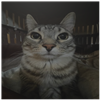 Shishix's avatar