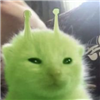 Zerisian's avatar