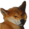 YuukiTheBrave's avatar