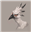 Asurii's avatar
