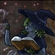 AshwoodWarrior's avatar