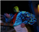 SenorCheesey's avatar