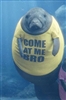 stewartbobby312's avatar
