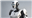 Robo_t's avatar