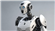 Robo_t's avatar