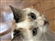 leoisawesome's avatar