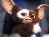SylvoM8's avatar