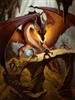 LordXargon's avatar