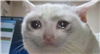 ROMEY74's avatar