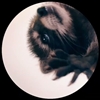 pokemontdm's avatar