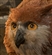 owlbear89's avatar