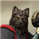 All_Seeing_Mage's avatar