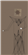 xanderandbrooks's avatar