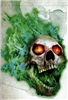 dude1231234's avatar