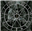 SanGuise's avatar
