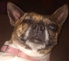 TobiasRed4's avatar
