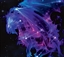 AwesomeDungeonMaster's avatar