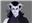 Greyfauxx_DM's avatar