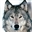 ChaosWolf's avatar
