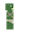 WestonOCSA's avatar