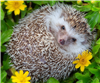 PoyrazSky's avatar