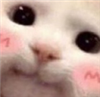 Joyzie's avatar