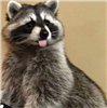 PatriciaIsCool's avatar