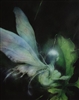Sonvee's avatar