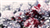 Leo_male_single's avatar