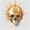 DarthAnubus's avatar