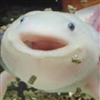 isitghosts's avatar