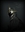 Theran_Oakenheart's avatar