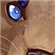 CorvusofRome's avatar