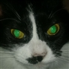 Jimmy_P2456's avatar