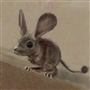 DessertMouse's avatar