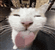 rychick's avatar