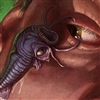 Ceremorph's avatar