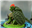 SaurianDruid's avatar