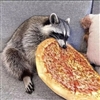 Miss_Dad's avatar