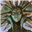 dungeonfella's avatar