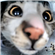 Dom_F1dc24eb7c5's avatar