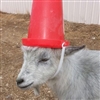 ThatDamChickenNugget's avatar