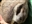 Name505's avatar