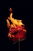 GreyEyedNerd's avatar