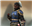 NFMed1a's avatar