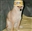 froggothedoggo47972's avatar