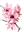callebracha's avatar