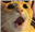 Lofoke's avatar