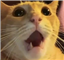 Lofoke's avatar