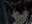 IronBeagle07's avatar